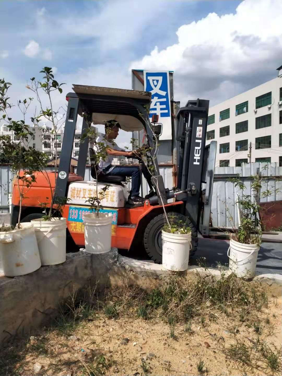 东莞道滘学叉车在什么地方报名学习，道滘叉车证办理