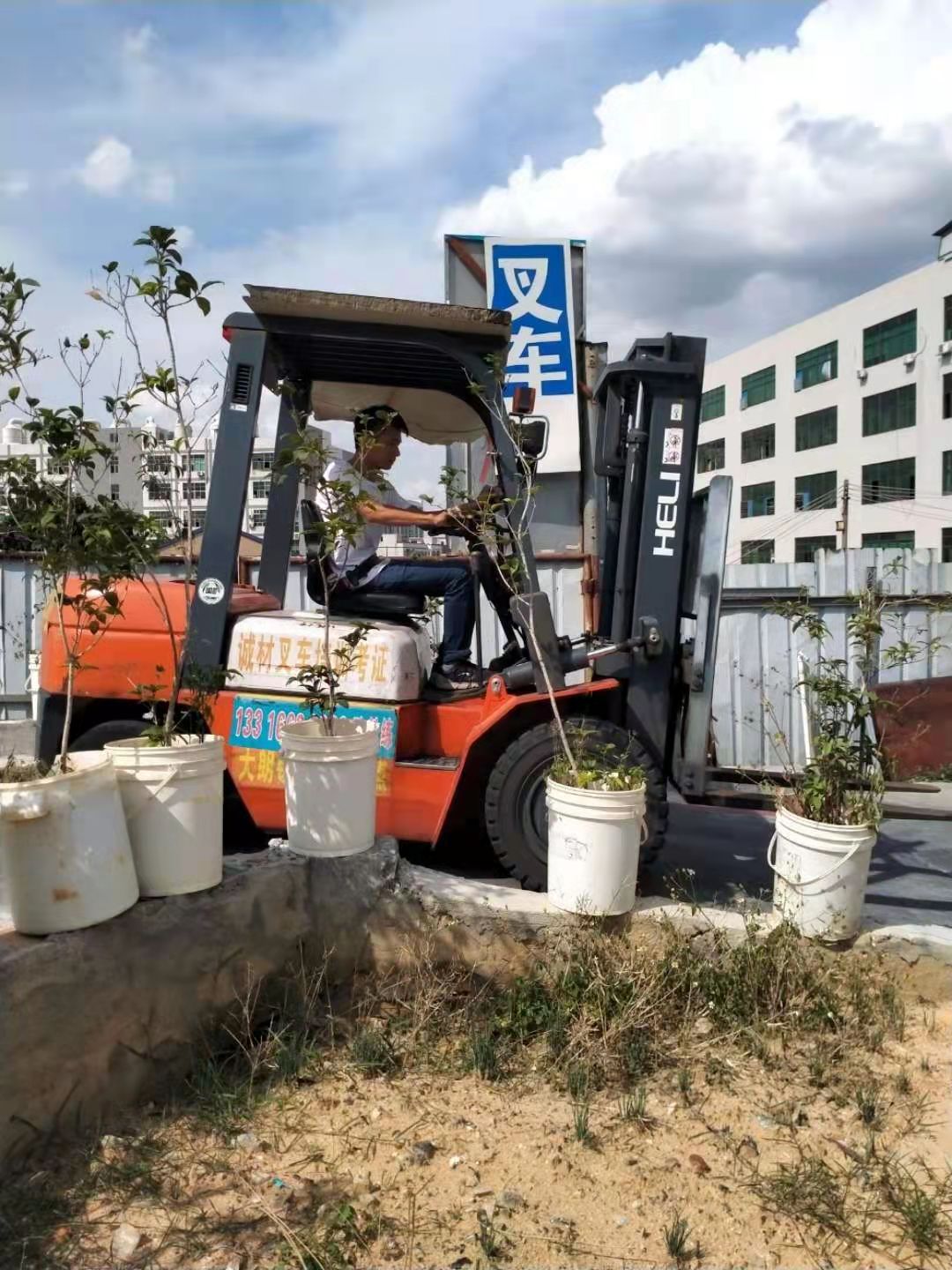 常平学叉车培训学校在哪里报名？常平叉车司机考证价格合理